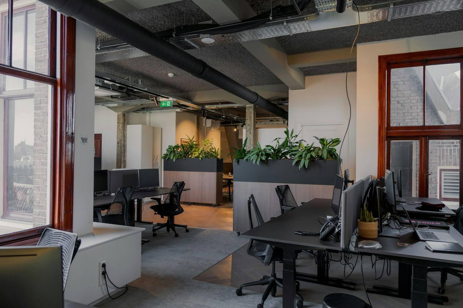 An open plan office with desks, screens and plants